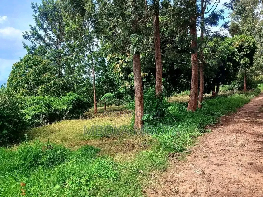 1acre Land for Sale in Brookside in Spring Valley