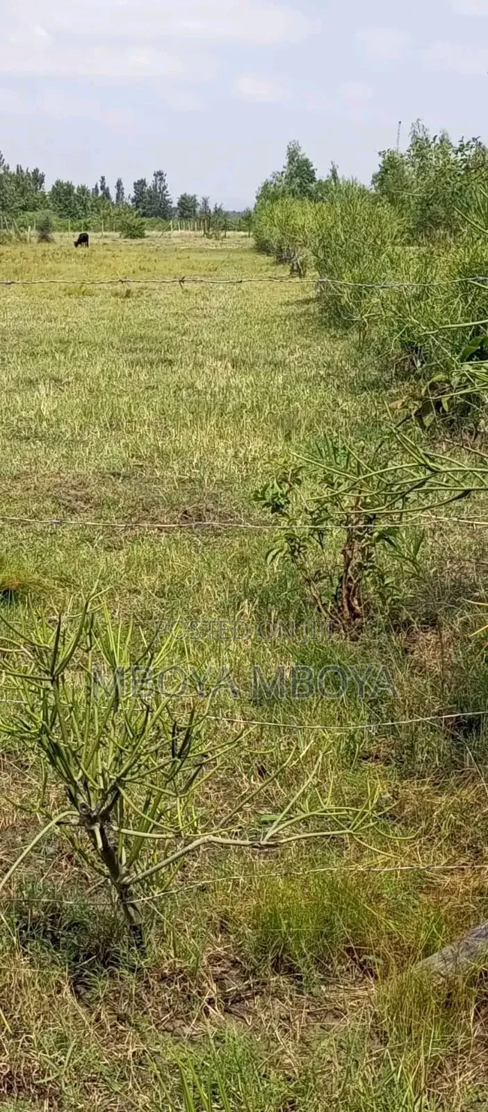 1acre Land for Sale in Brookside in Spring Valley