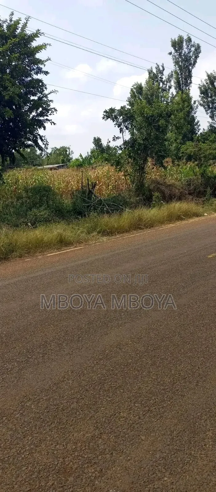 1acre Land for Sale in Brookside in Spring Valley