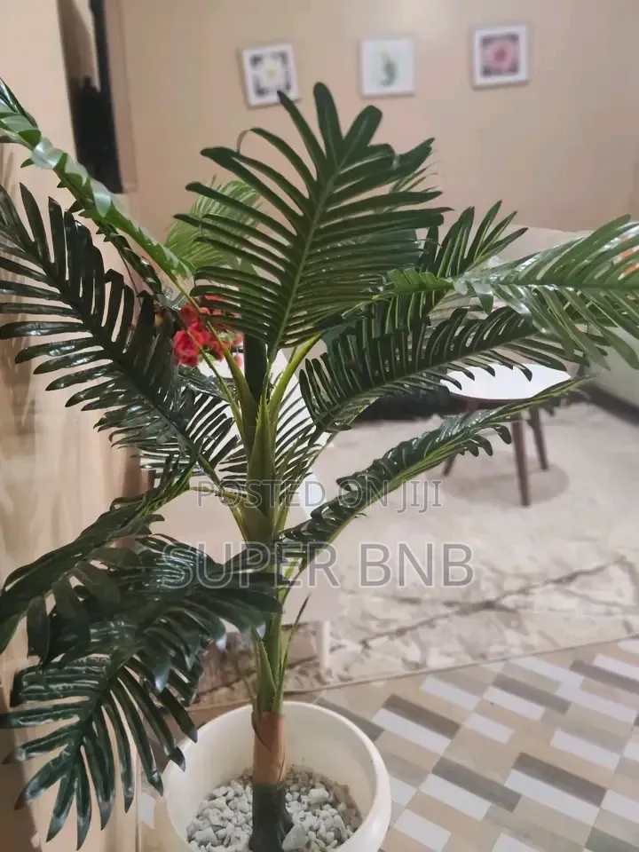 Studio Airbnb Ruiru-Membley Bypass
 Airbnb Kamakis 1 Bedroom in Kamakis