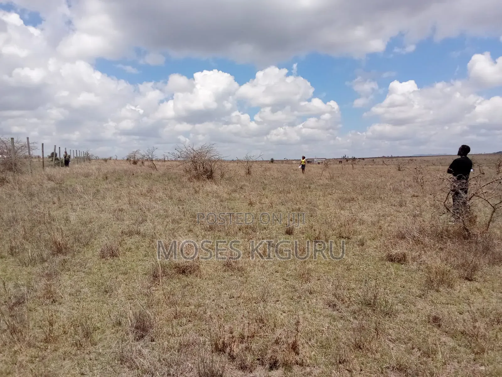Konza 50x100 Plot for Sale in Junction