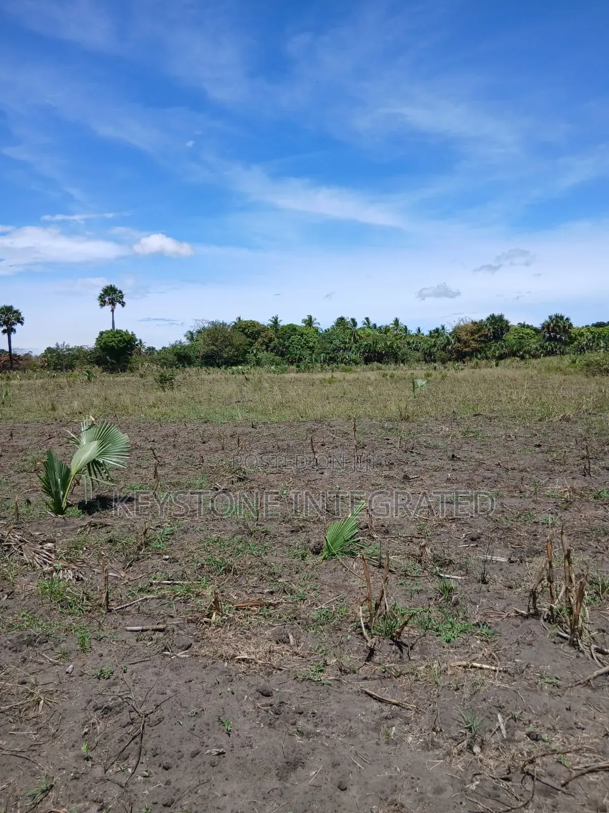 52 Acres Land for Sale in Mokowe,Lamu in Hindi