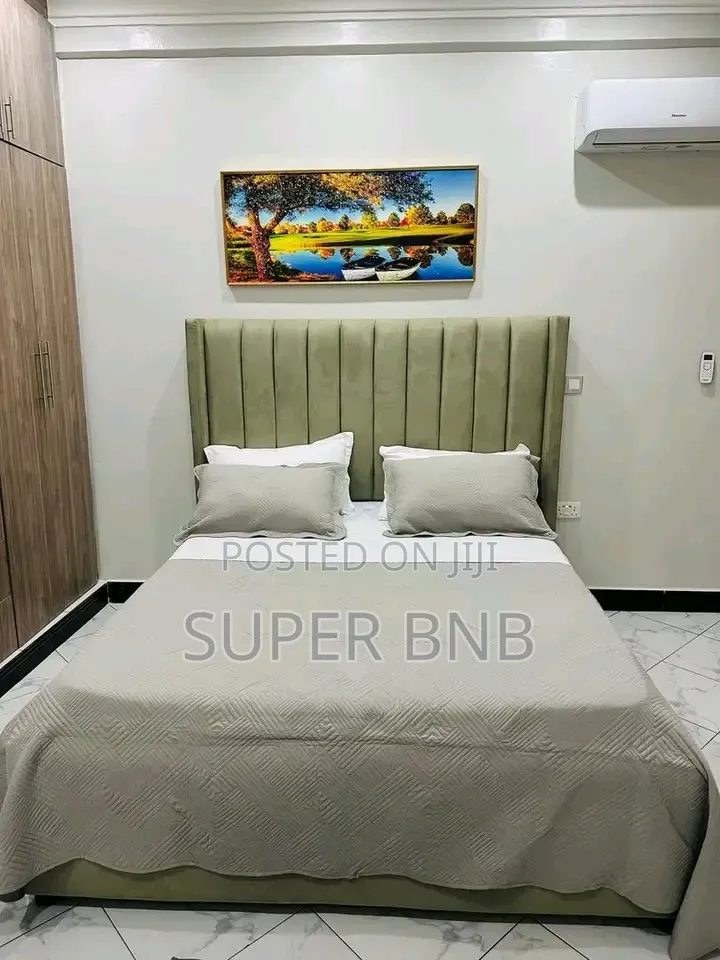 Airbnb Furnished Apartments in Kololo,Naguru,Nakasero,Ntinda,Bukoto in Buoye