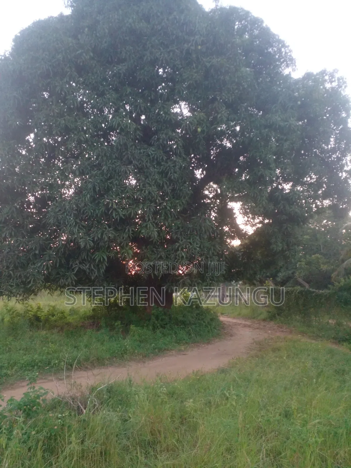 Slightly Big Than 1/2 Acre at Kinondo/Ganja La Simba on the Highway. in Ukunda