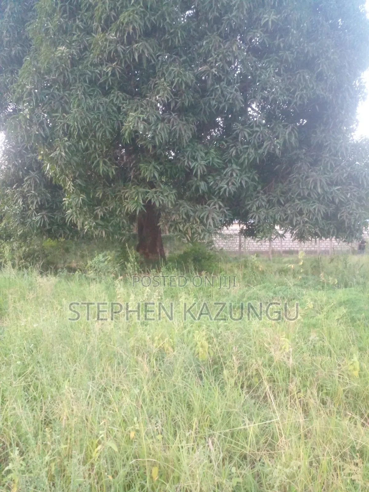 Slightly Big Than 1/2 Acre at Kinondo/Ganja La Simba on the Highway. in Ukunda