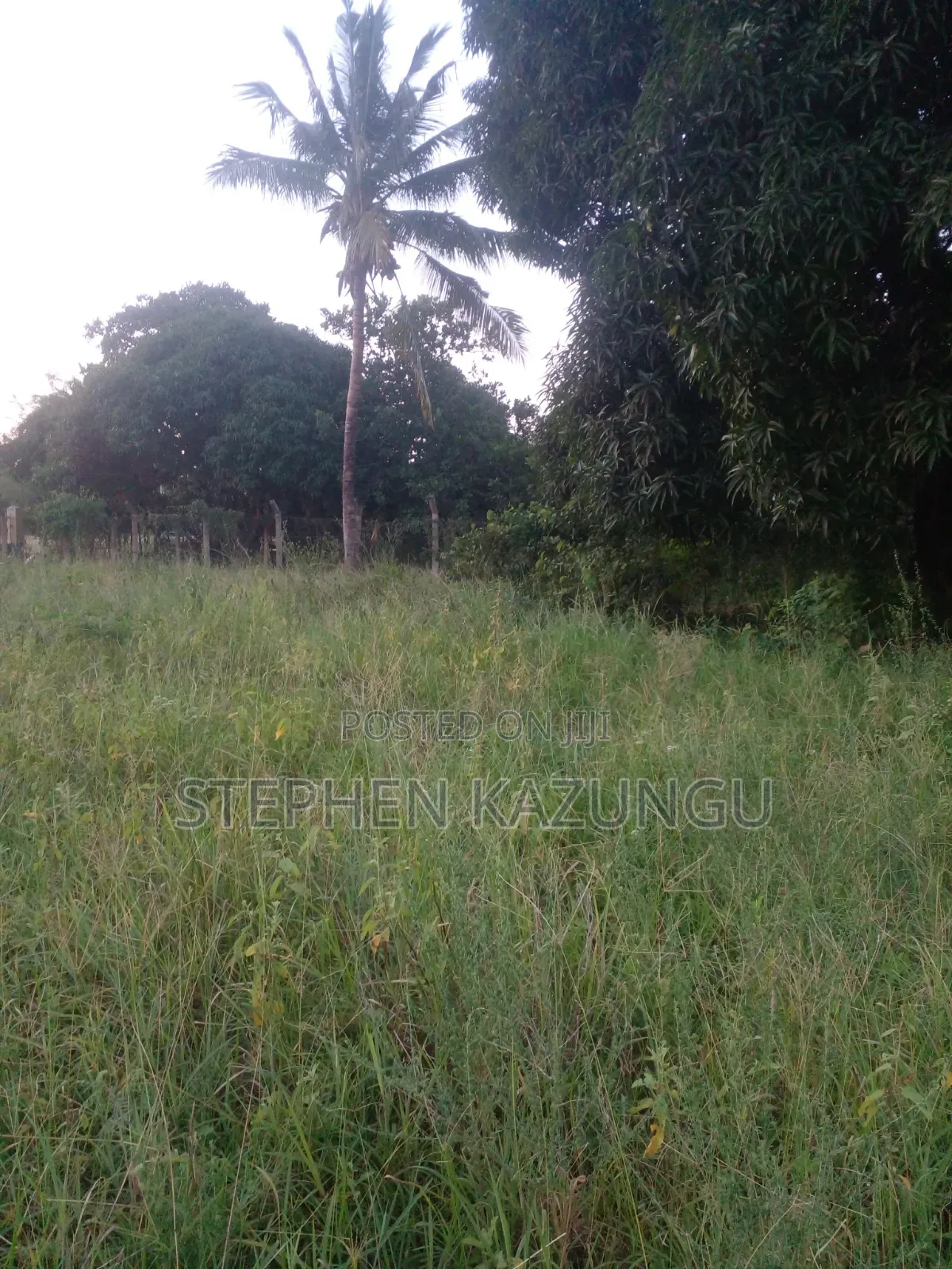 Slightly Big Than 1/2 Acre at Kinondo/Ganja La Simba on the Highway. in Ukunda