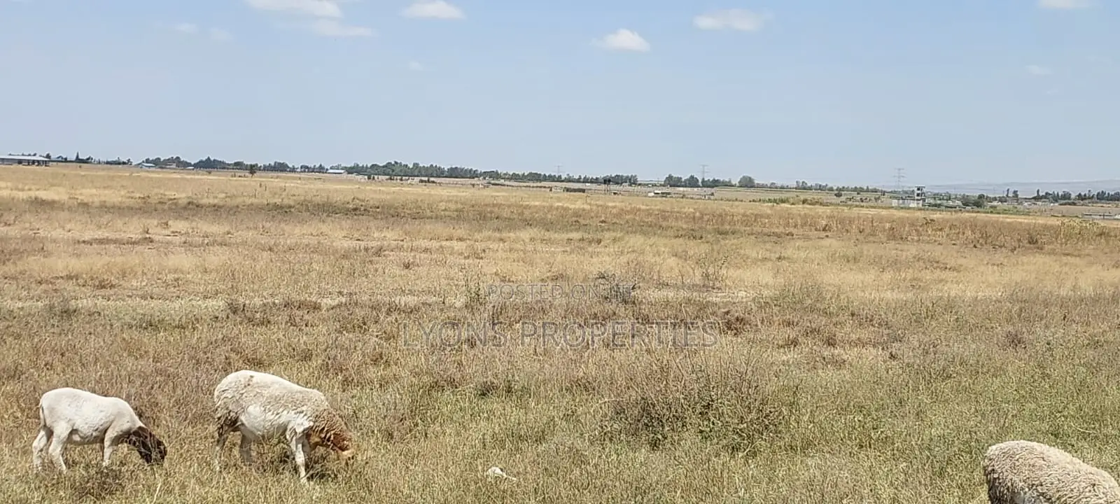 50 Acre Land for Sale in Kisaju in Kisaju