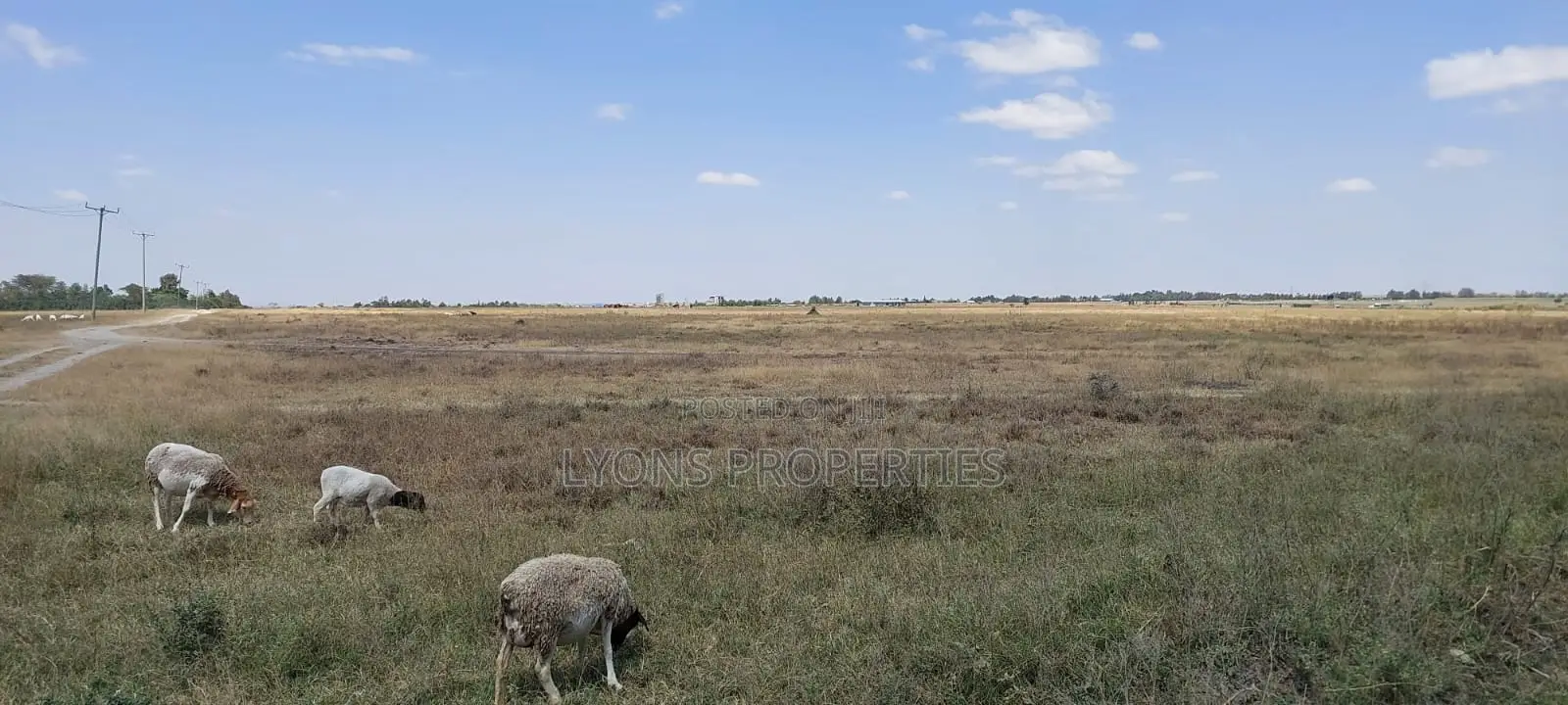 50 Acre Land for Sale in Kisaju in Kisaju