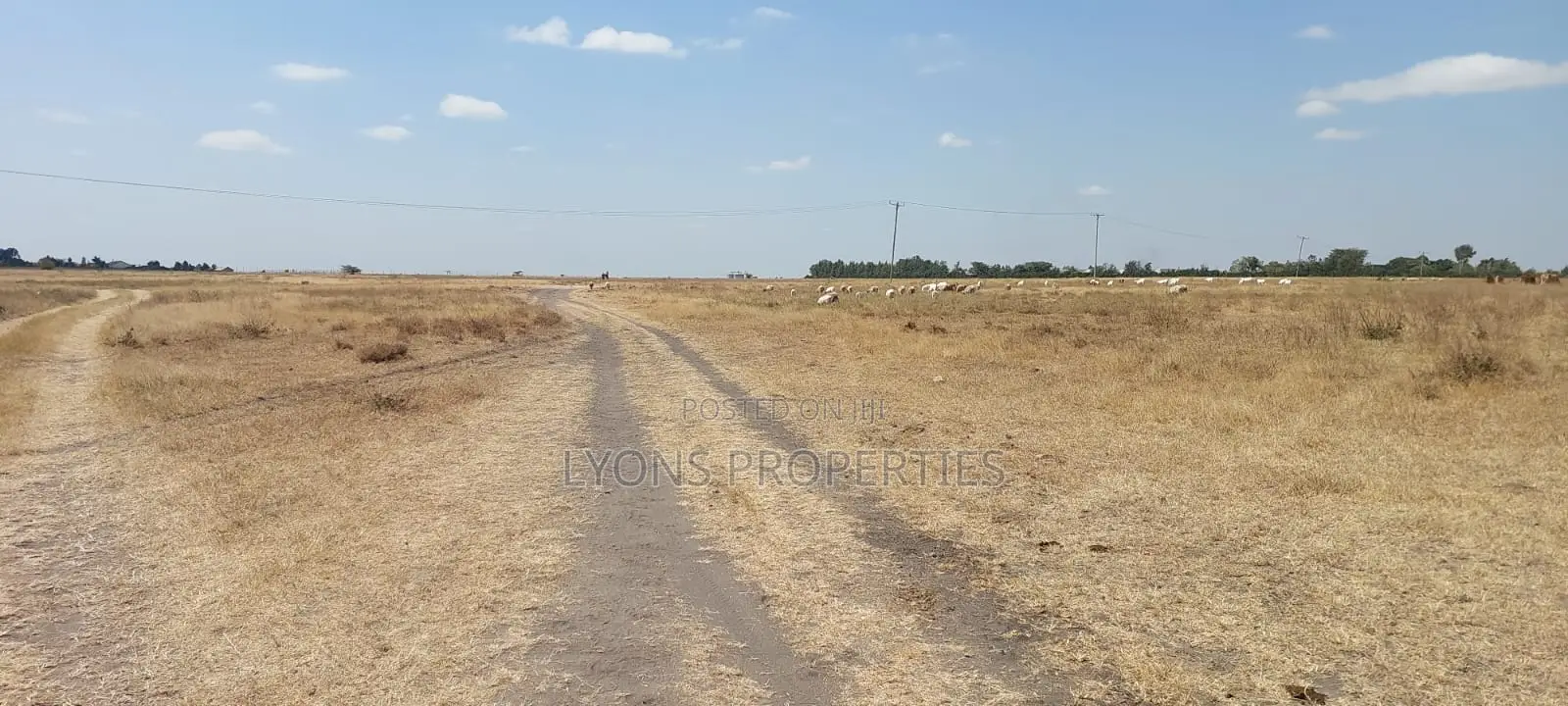 50 Acre Land for Sale in Kisaju in Kisaju
