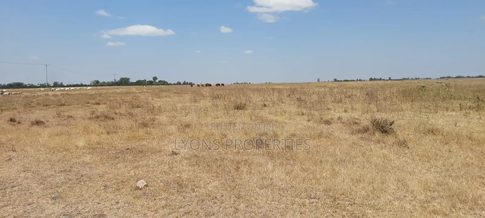 50 Acre Land for Sale in Kisaju in Kisaju
