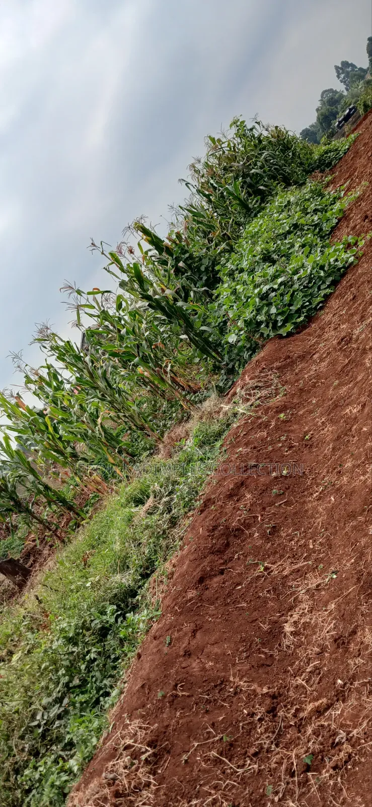 Land for Sale in Nairobi Central
