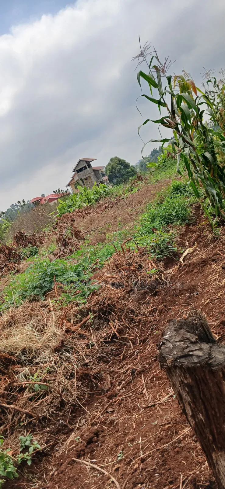 Land for Sale in Nairobi Central
