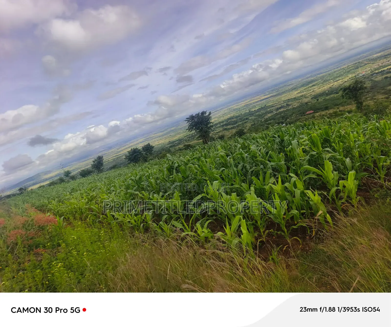 6 Acres at Mua Hills Best for Homestead in Mua Hills