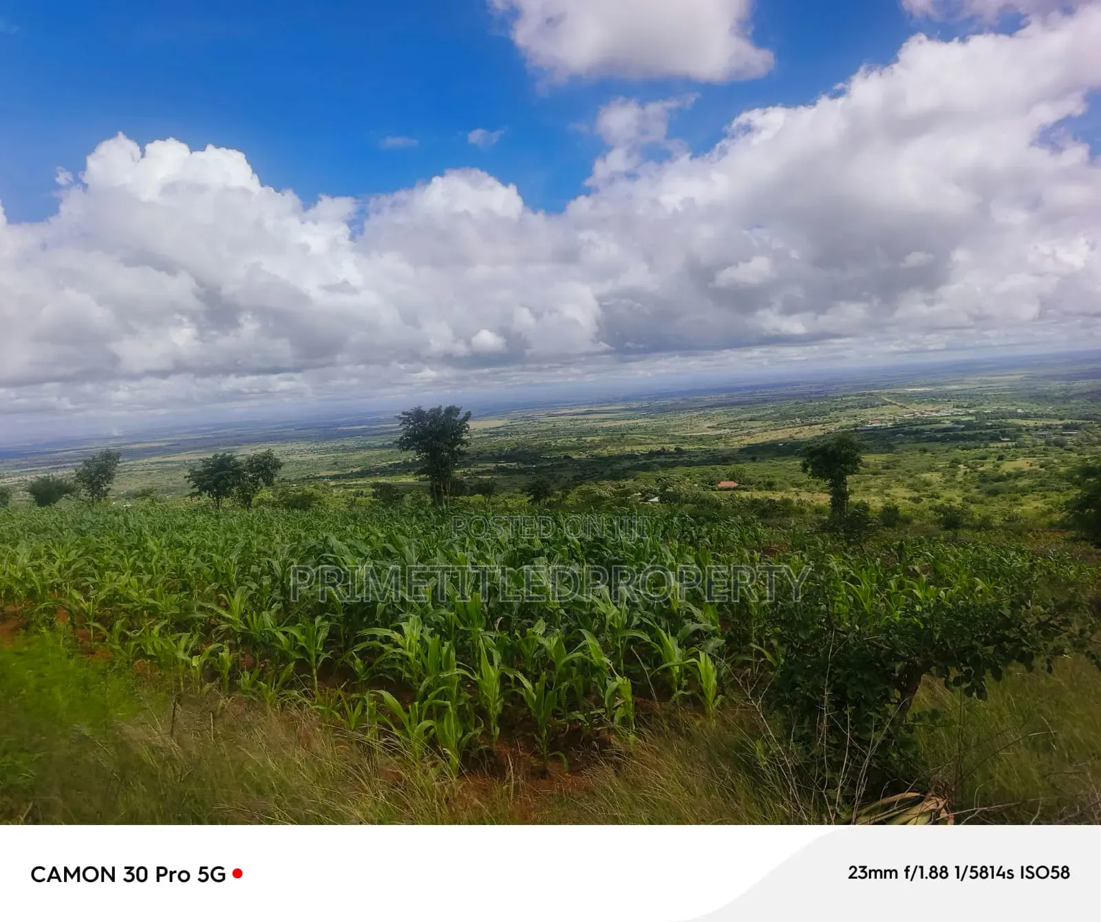 6 Acres at Mua Hills Best for Homestead in Mua Hills