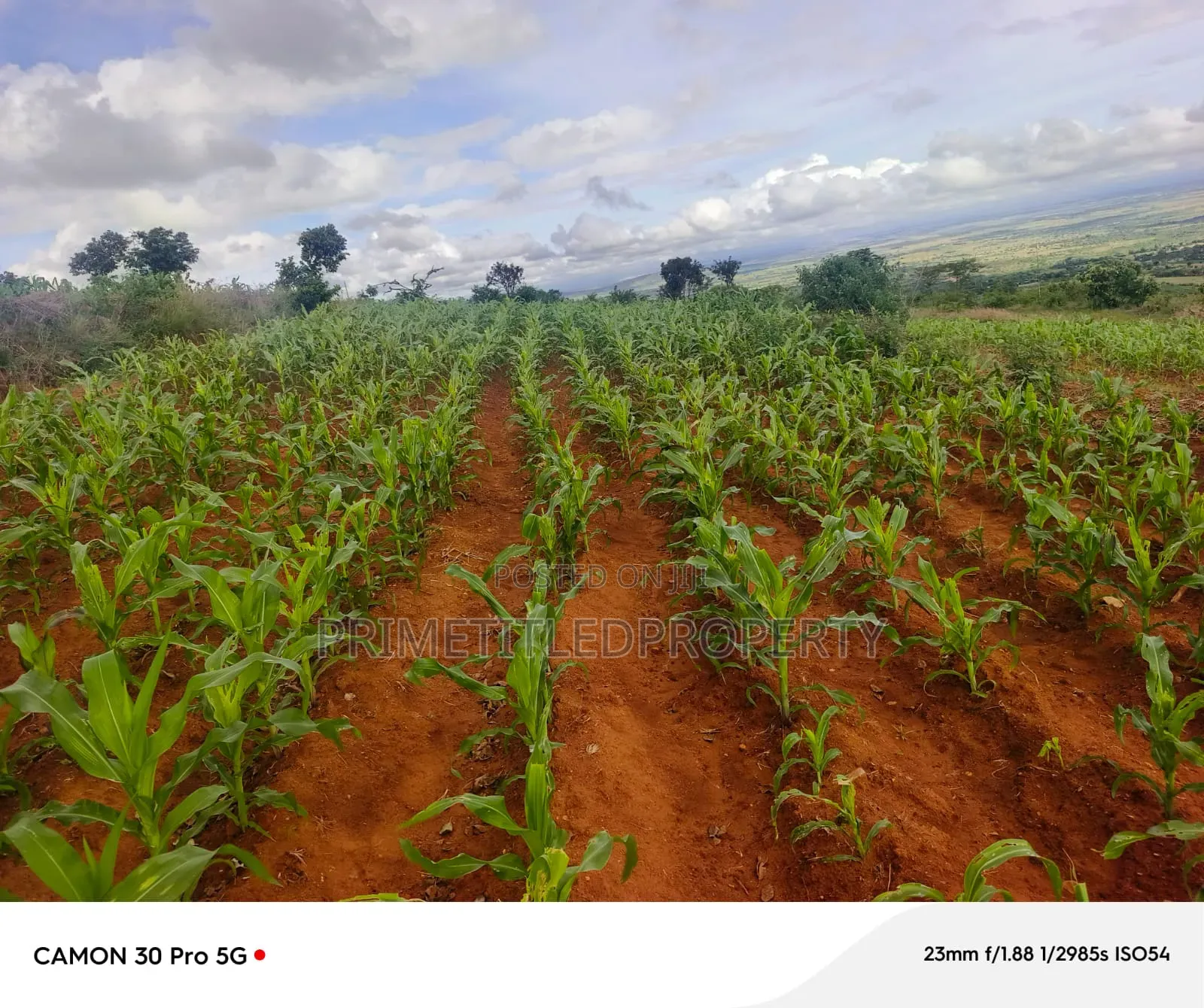 6 Acres at Mua Hills Best for Homestead in Mua Hills