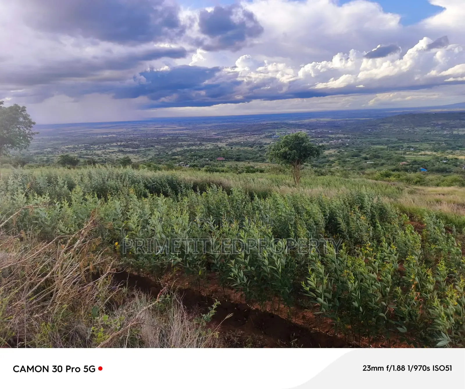 6 Acres at Mua Hills Best for Homestead in Mua Hills