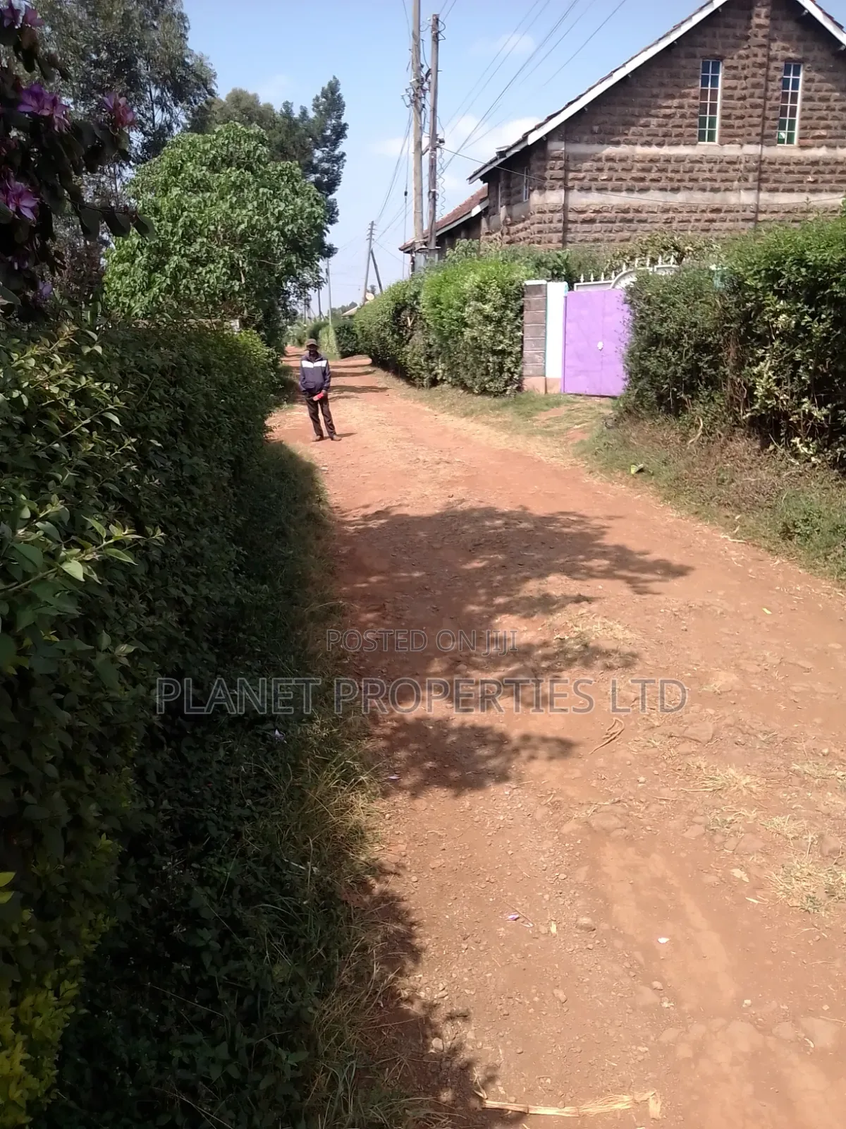 Prime Ruaka 3 Quarter Acre in Ruaka