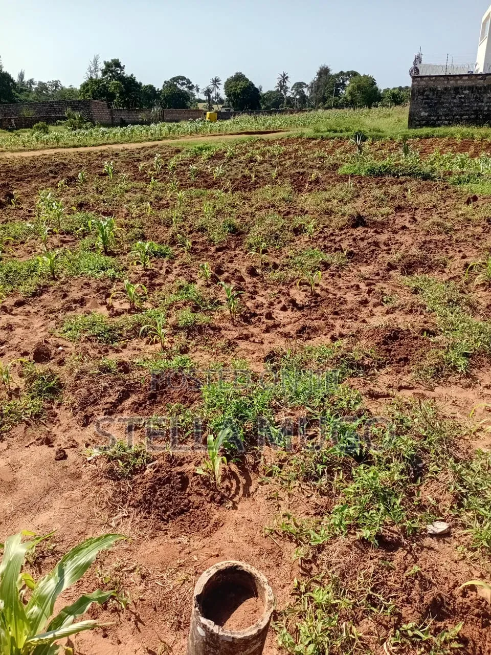 Double 0.045 Hectare of Land for Purchase in Mtwapa