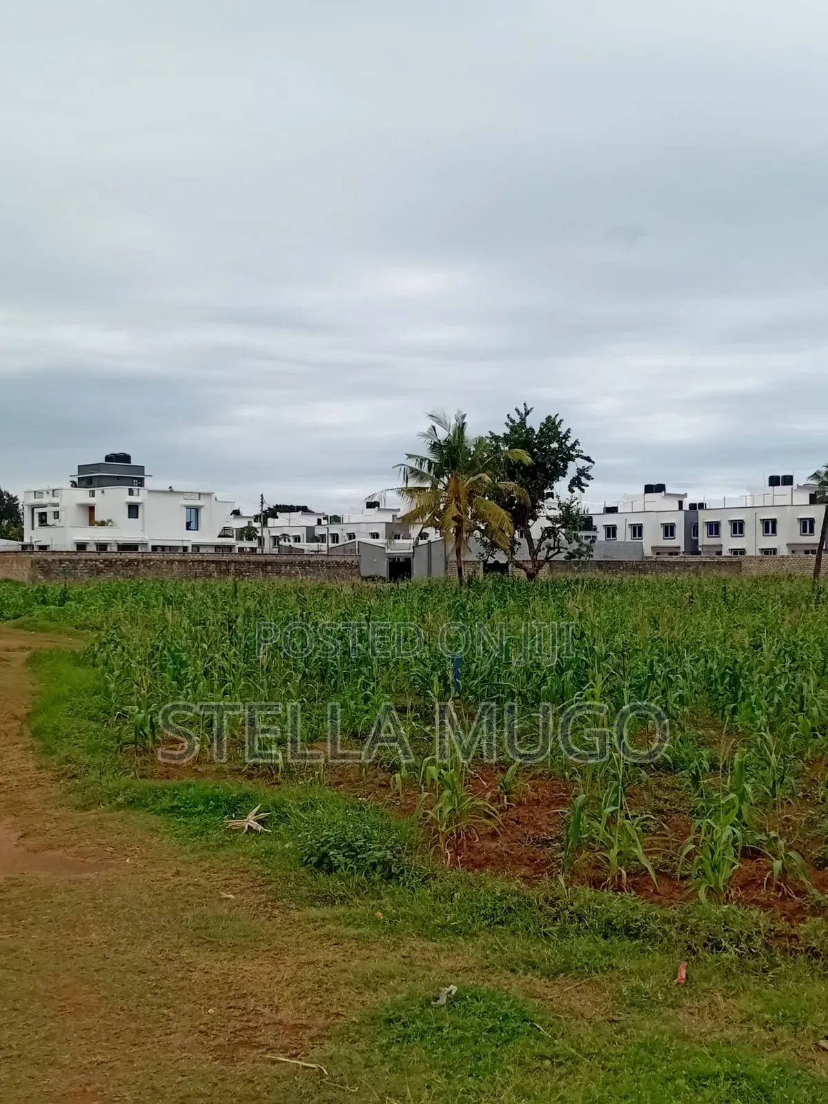 Double 0.045 Hectare of Land for Purchase in Mtwapa