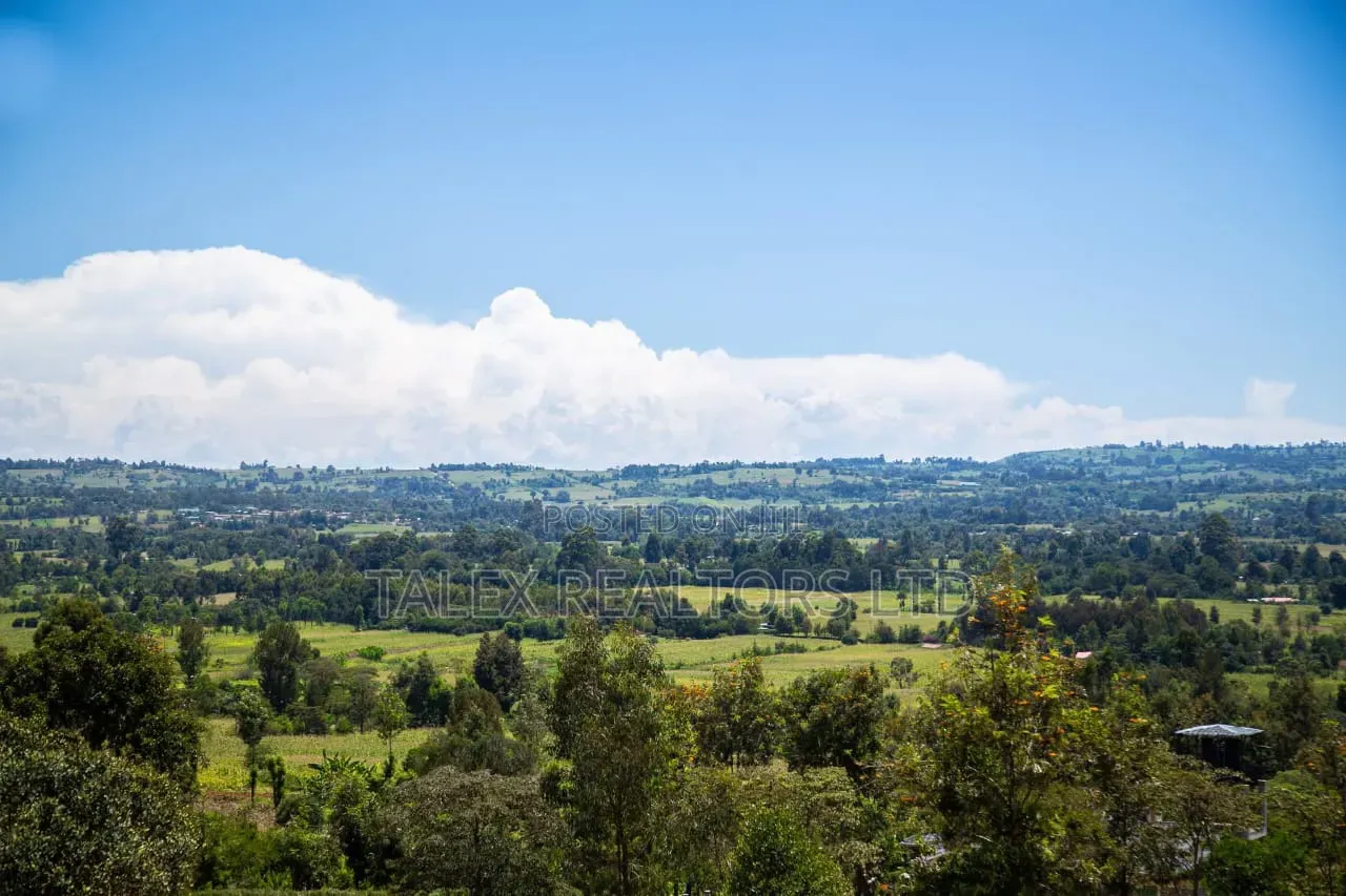 -acres-of Gold:River-front-agricultural Empire In Laikipia East in Impala