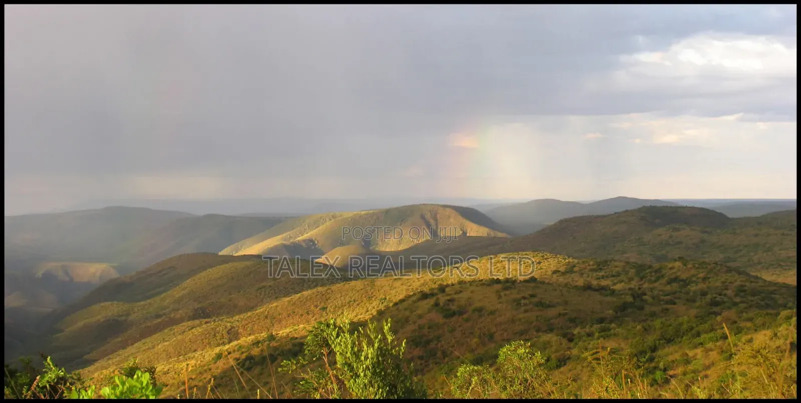 -acres-of Gold:River-front-agricultural Empire In Laikipia East in Impala