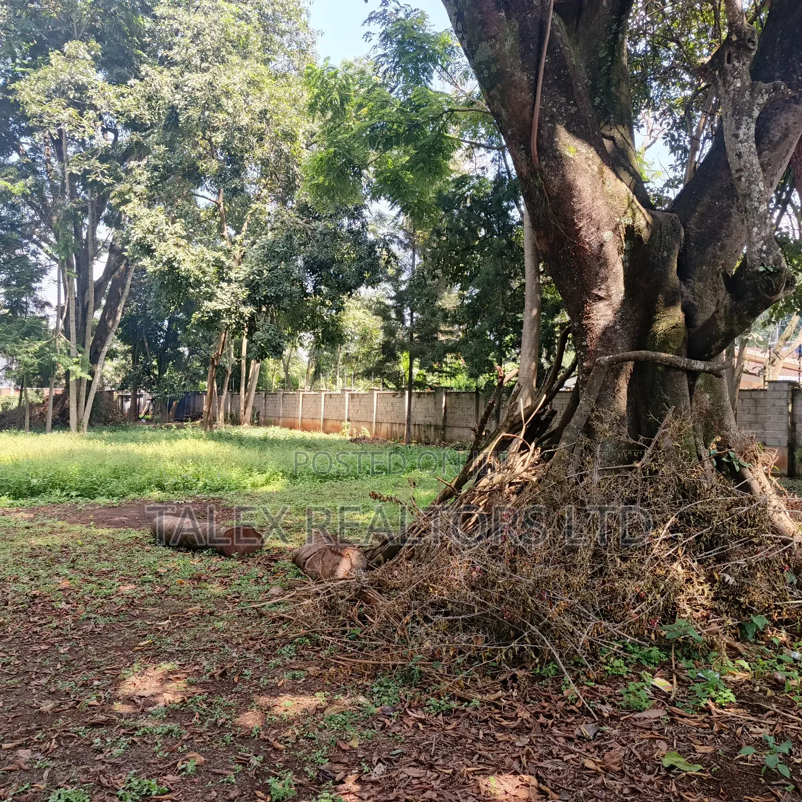 Prime 1-Acre Forest-Bordering Plot in Thigiri – With Approvals in Thigiri