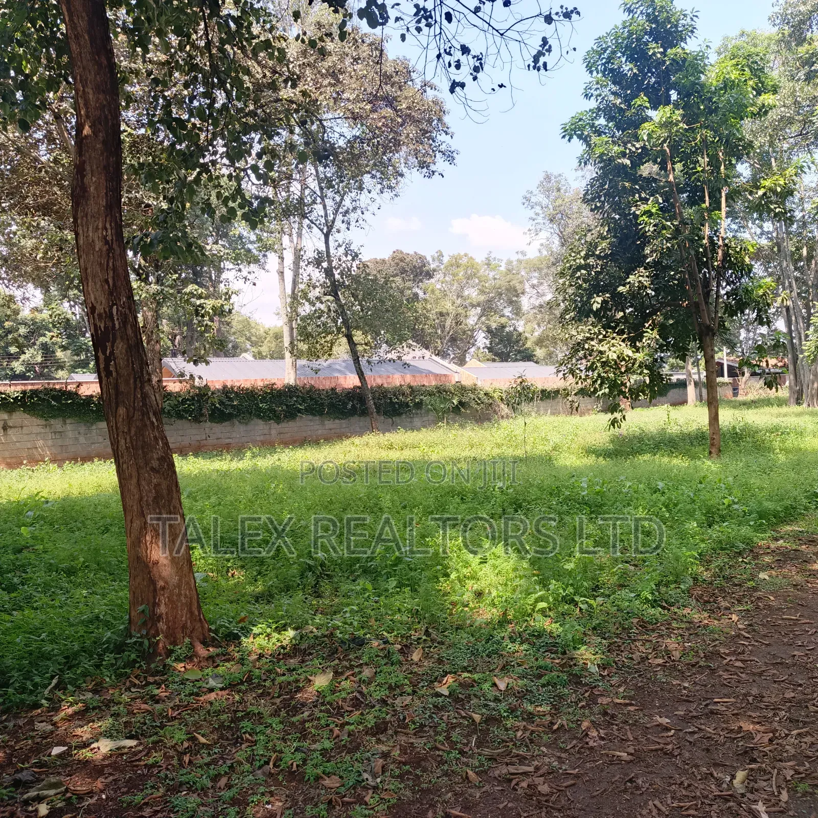 Prime 1-Acre Forest-Bordering Plot in Thigiri – With Approvals in Thigiri