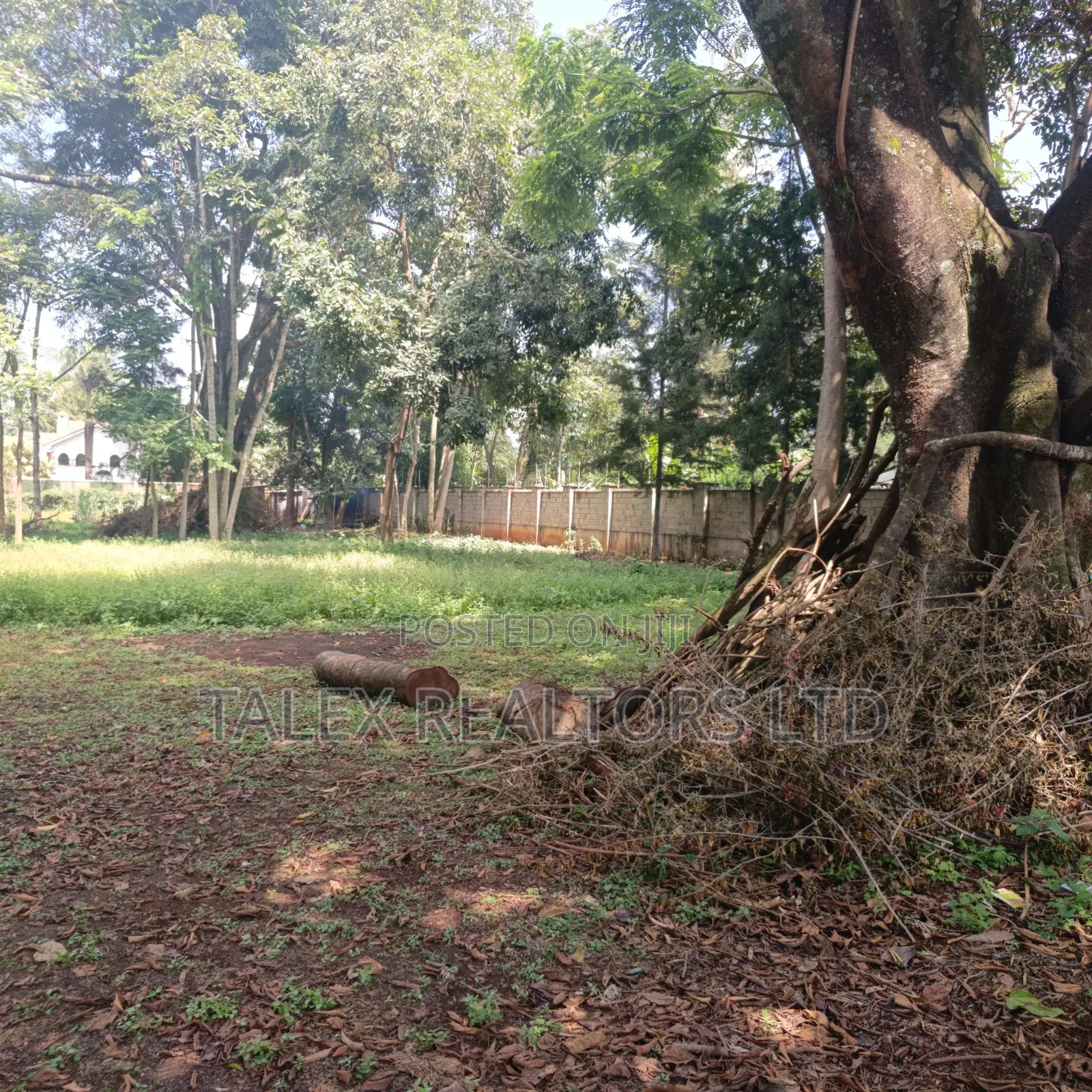 Prime 1-Acre Forest-Bordering Plot in Thigiri – With Approvals in Thigiri
