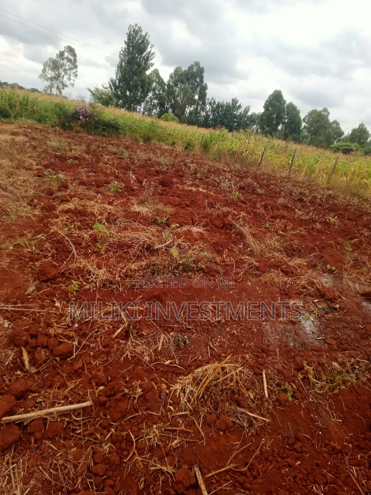 2 Acres of Land on Sale at Kirinyaga-Nyangati in Nyangati
