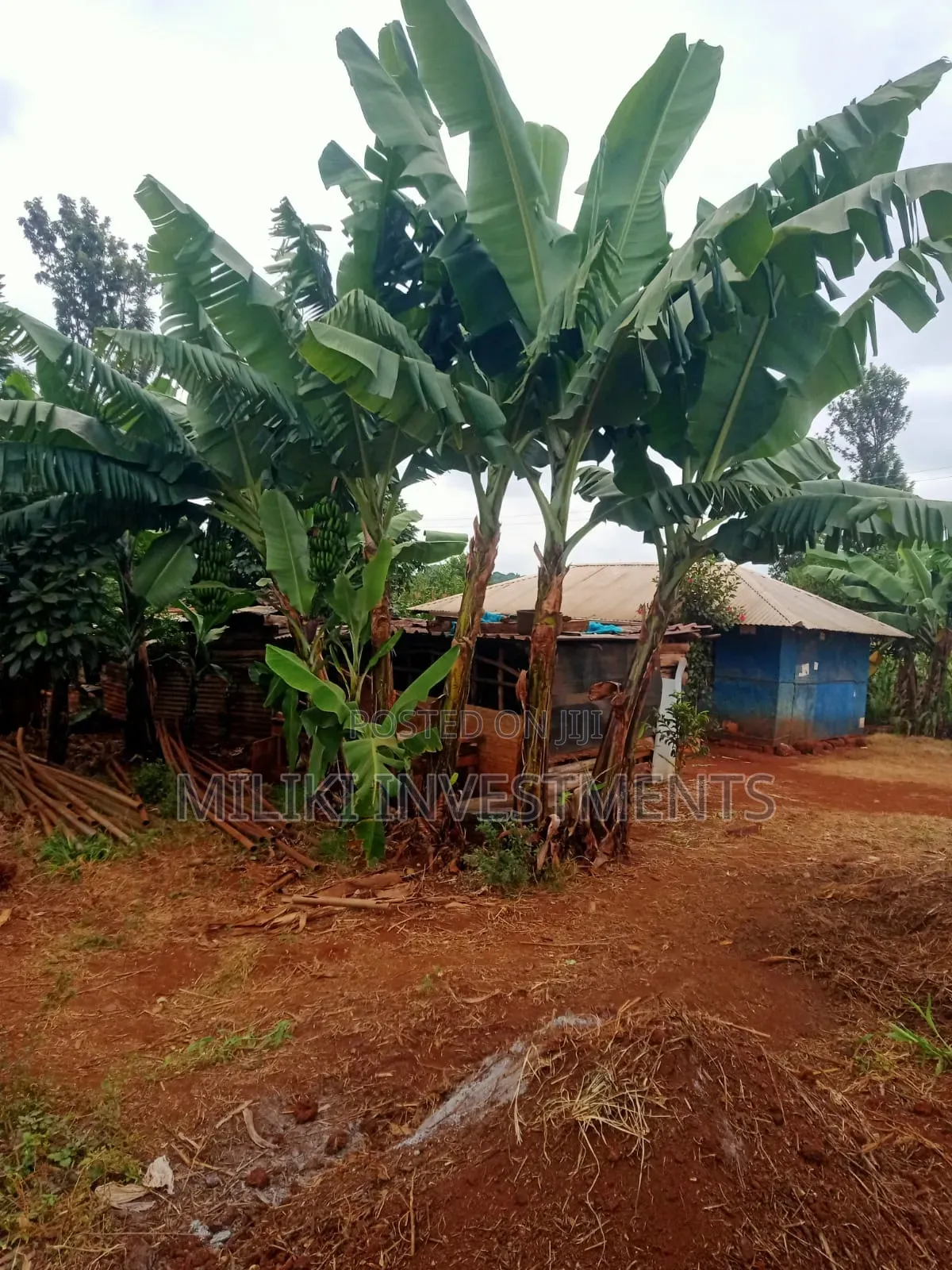 2 Acres of Land on Sale at Kirinyaga-Nyangati in Nyangati