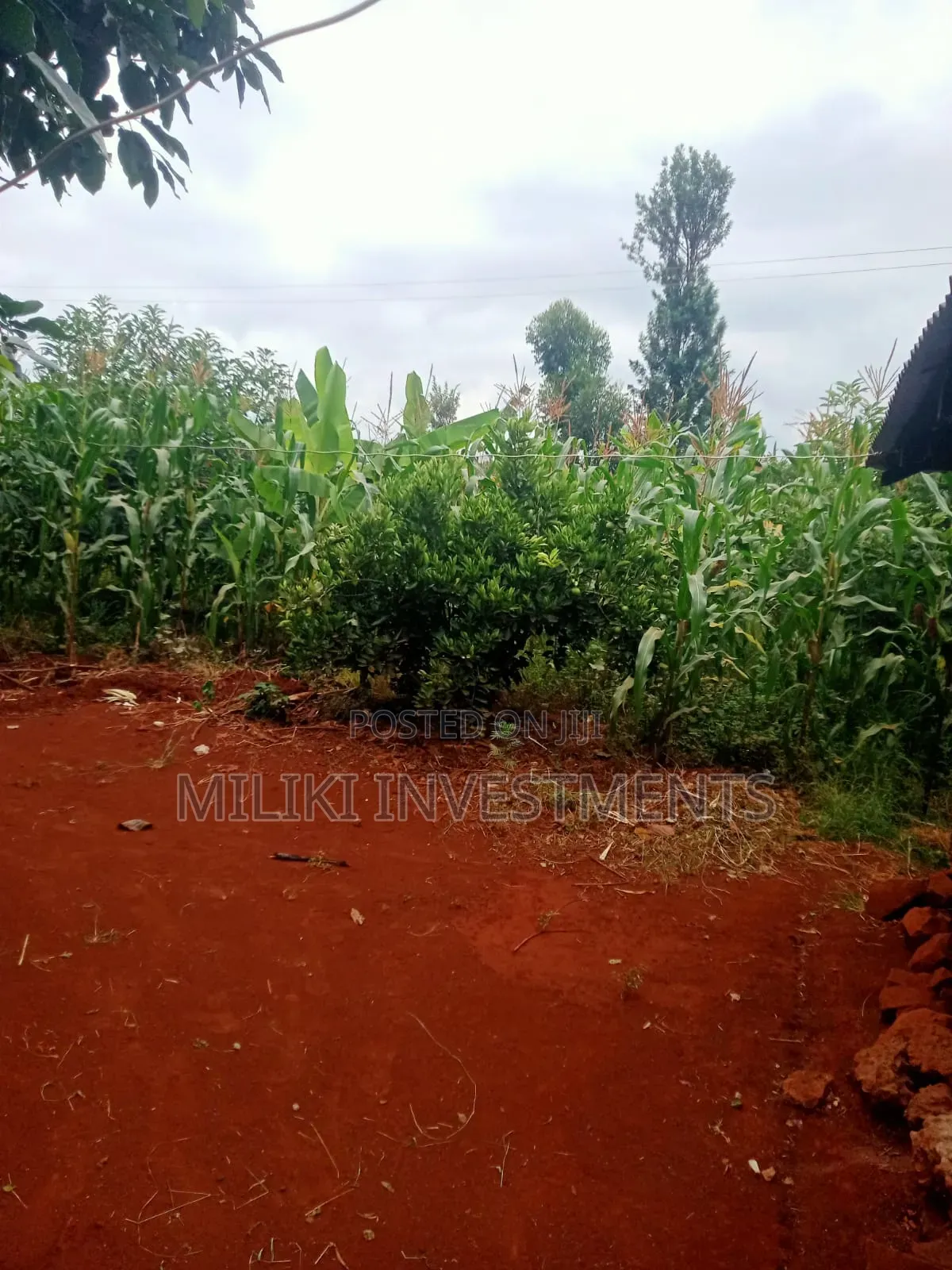 2 Acres of Land on Sale at Kirinyaga-Nyangati in Nyangati