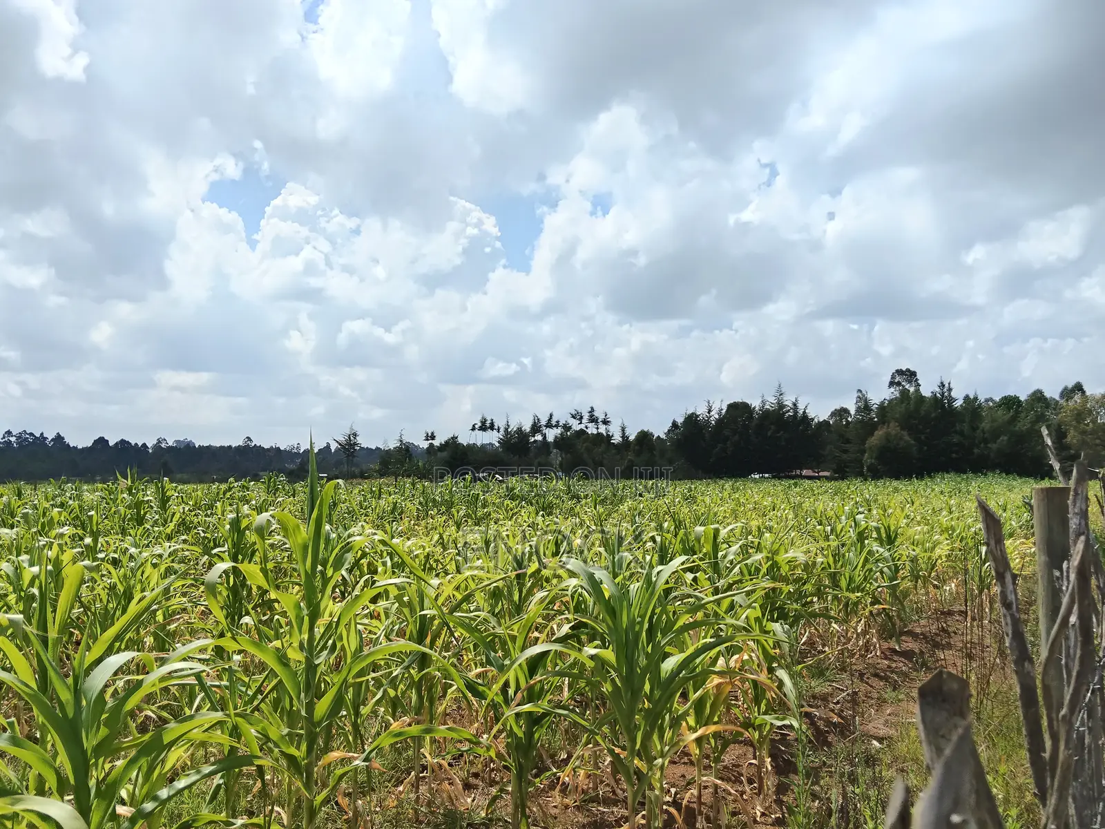 1.5acres for Sale in Mugundoi Cheptiret in Ngeria