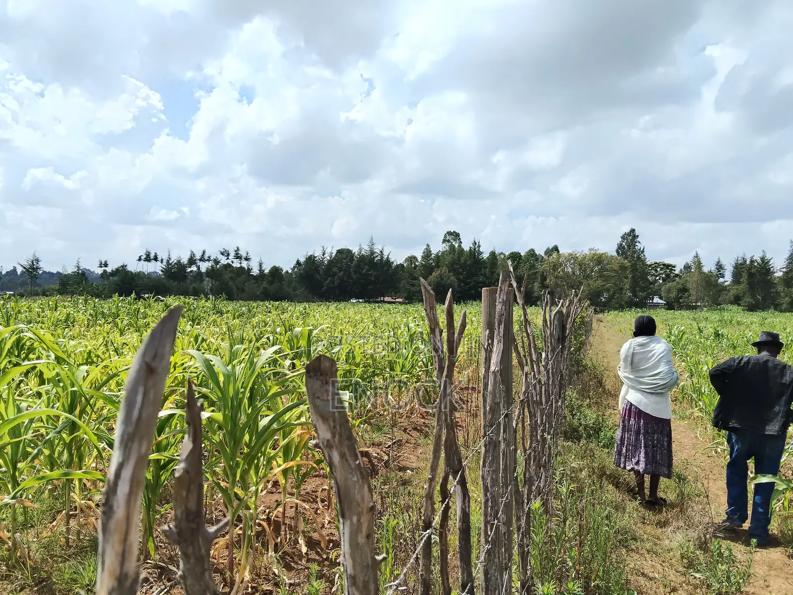 1.5acres for Sale in Mugundoi Cheptiret in Ngeria