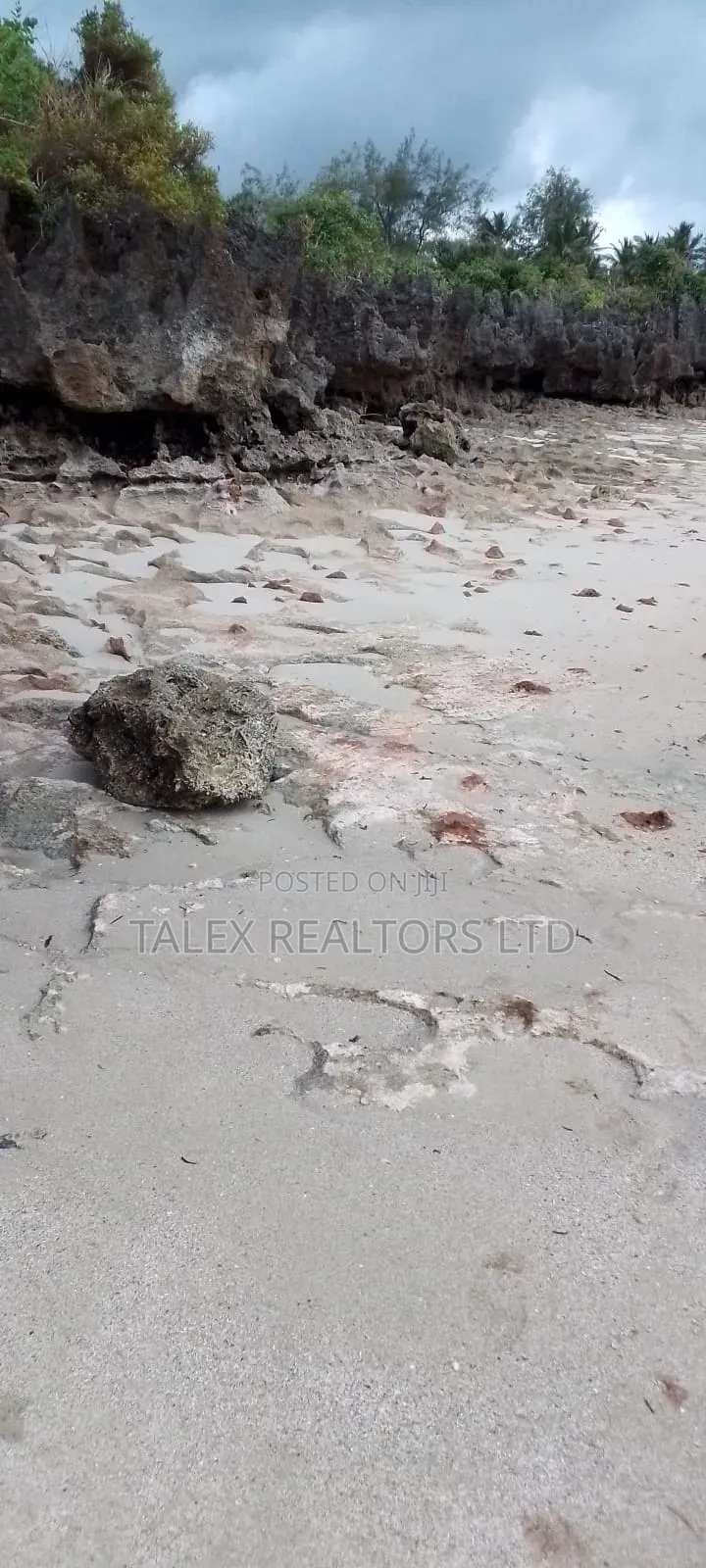 25-Acre Beachfront Estate in Diani/Tiwi | Prime Resort Opportunity in Tiwi