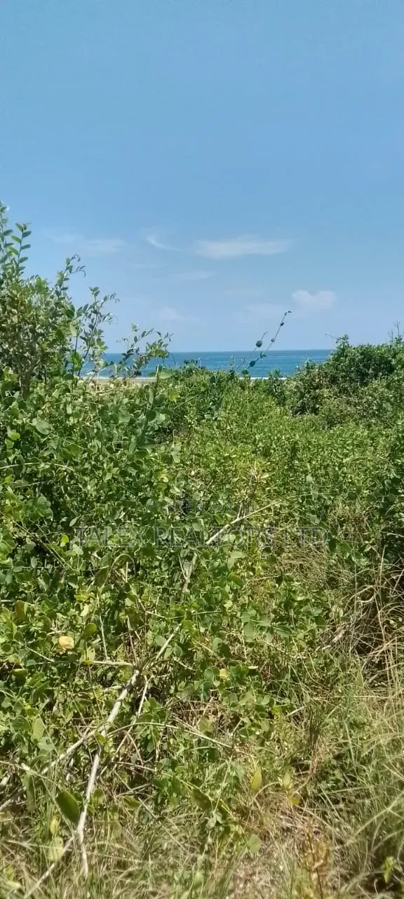 25-Acre Beachfront Estate in Diani/Tiwi | Prime Resort Opportunity in Tiwi