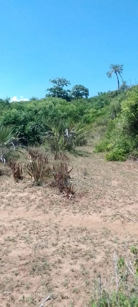 25-Acre Beachfront Estate in Diani/Tiwi | Prime Resort Opportunity in Tiwi