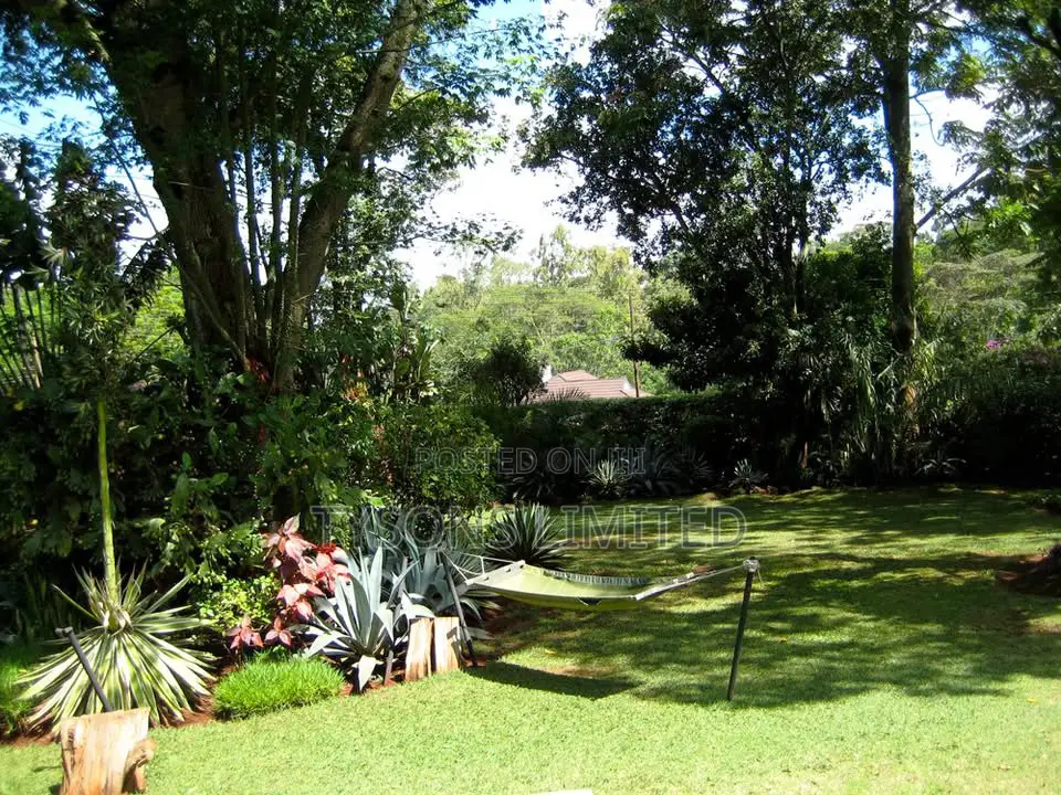 Plot for Sale in Lavington - Chalbi Drive in Maziwa
