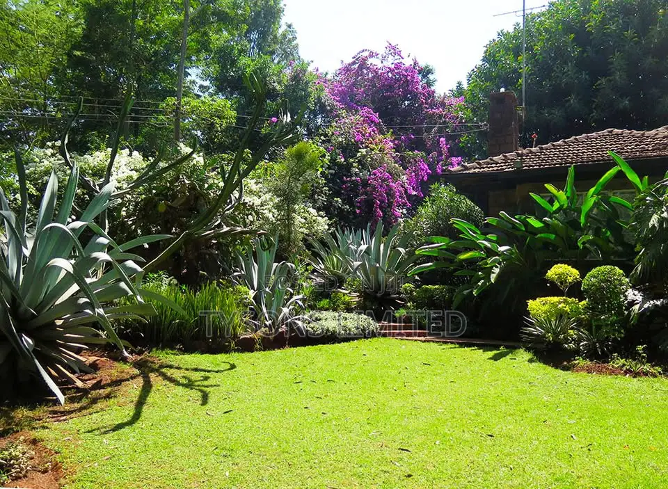 Plot for Sale in Lavington - Chalbi Drive in Maziwa
