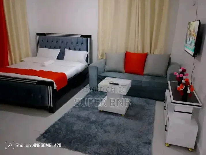 Fully Furnished Studio Apartments in Ruaka Town Decimo in Ruaka