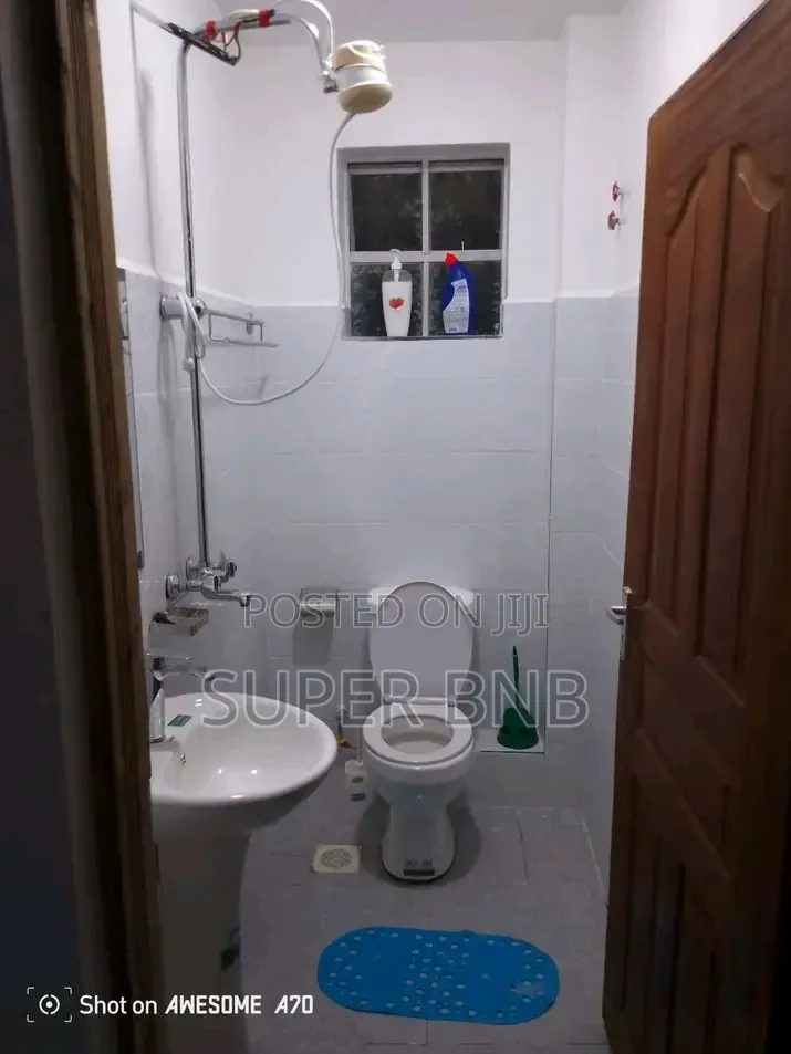 Fully Furnished Studio Apartments in Ruaka Town Decimo in Ruaka