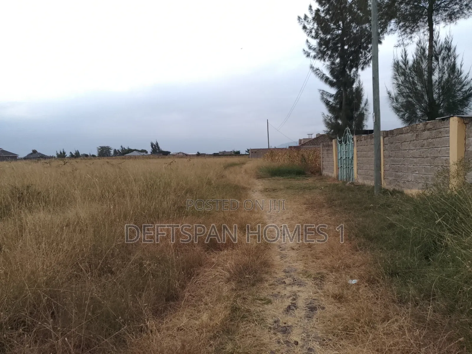 50 by 100 Plot Selling at Kantafu in Kangundo Central