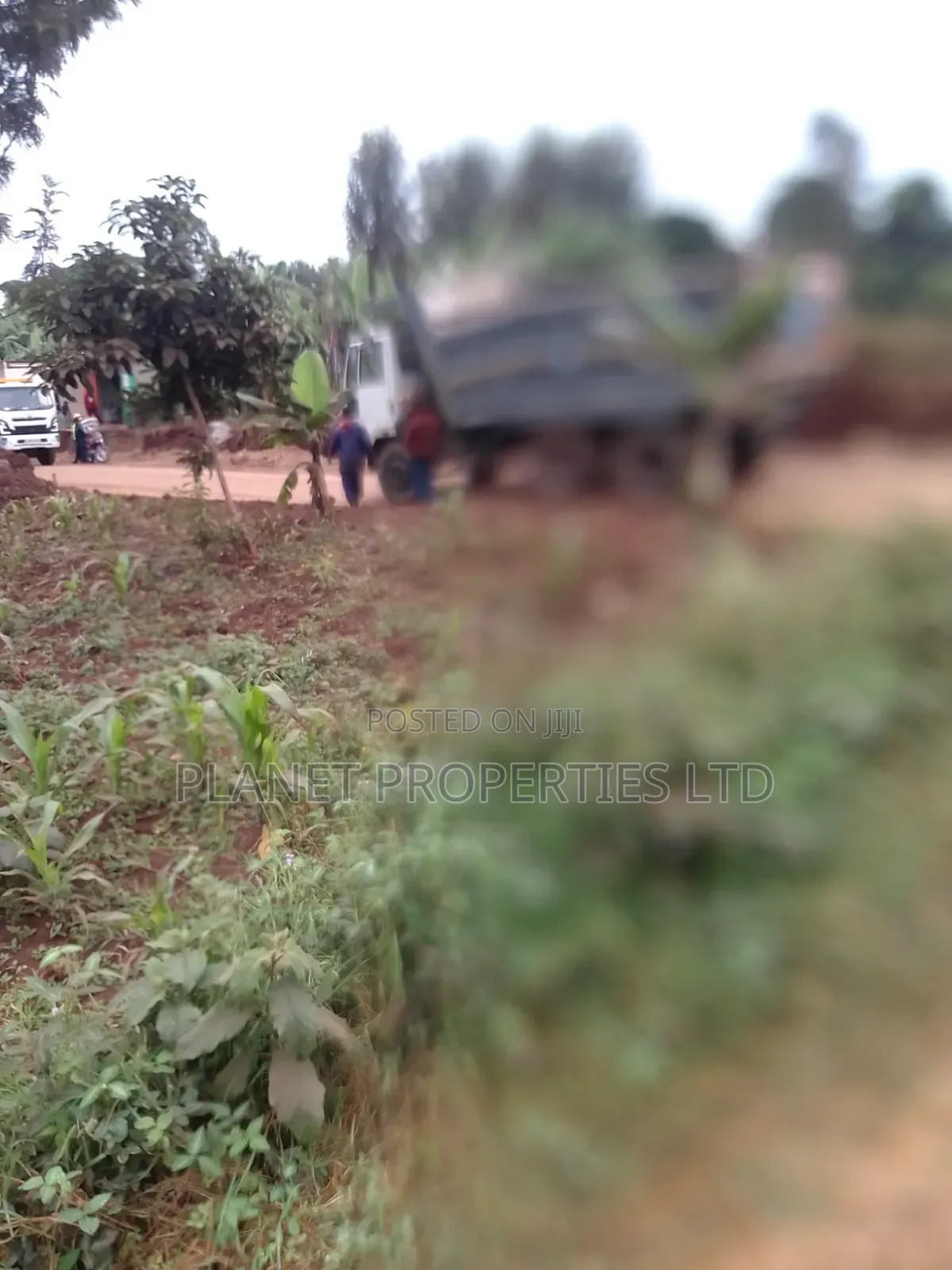 Ruaka / Kagongo Under Tarmac in Ruaka