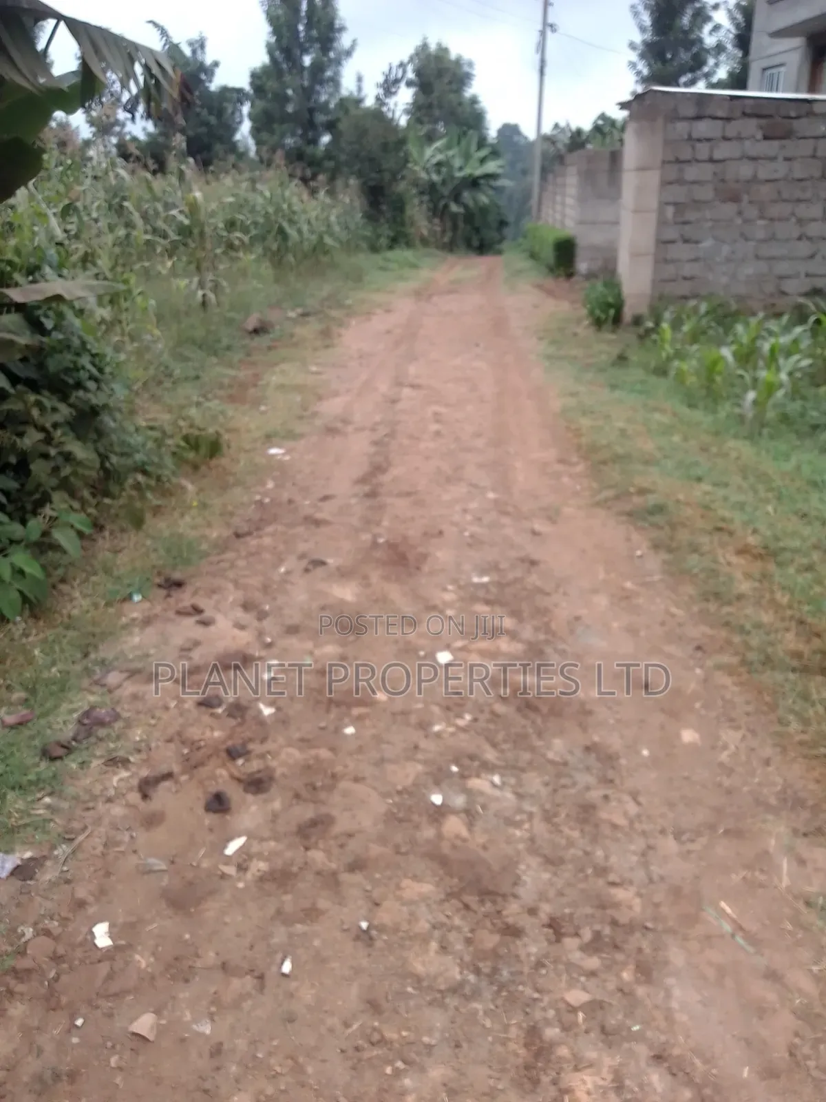 Ruaka / Kagongo Under Tarmac in Ruaka