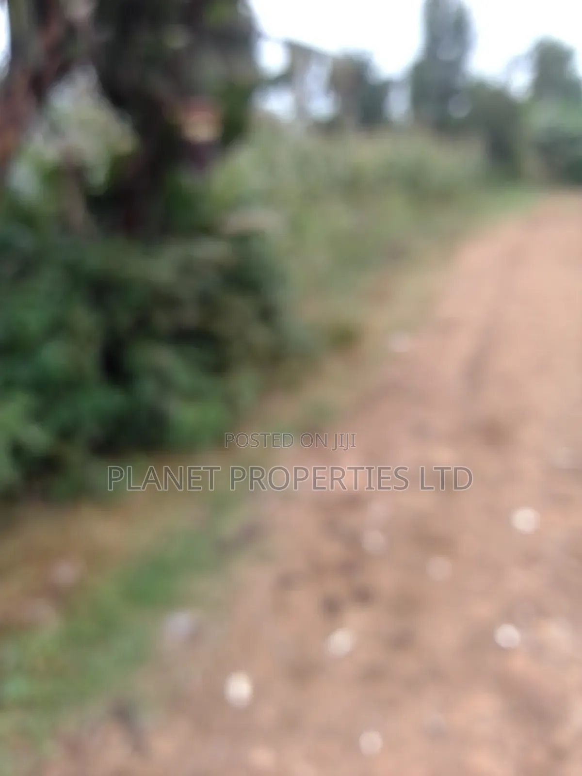 Ruaka / Kagongo Under Tarmac in Ruaka