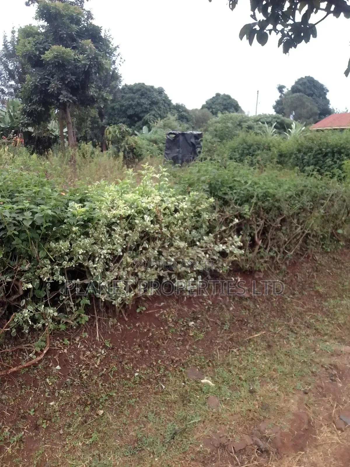 Ruaka / Kagongo Under Tarmac in Ruaka