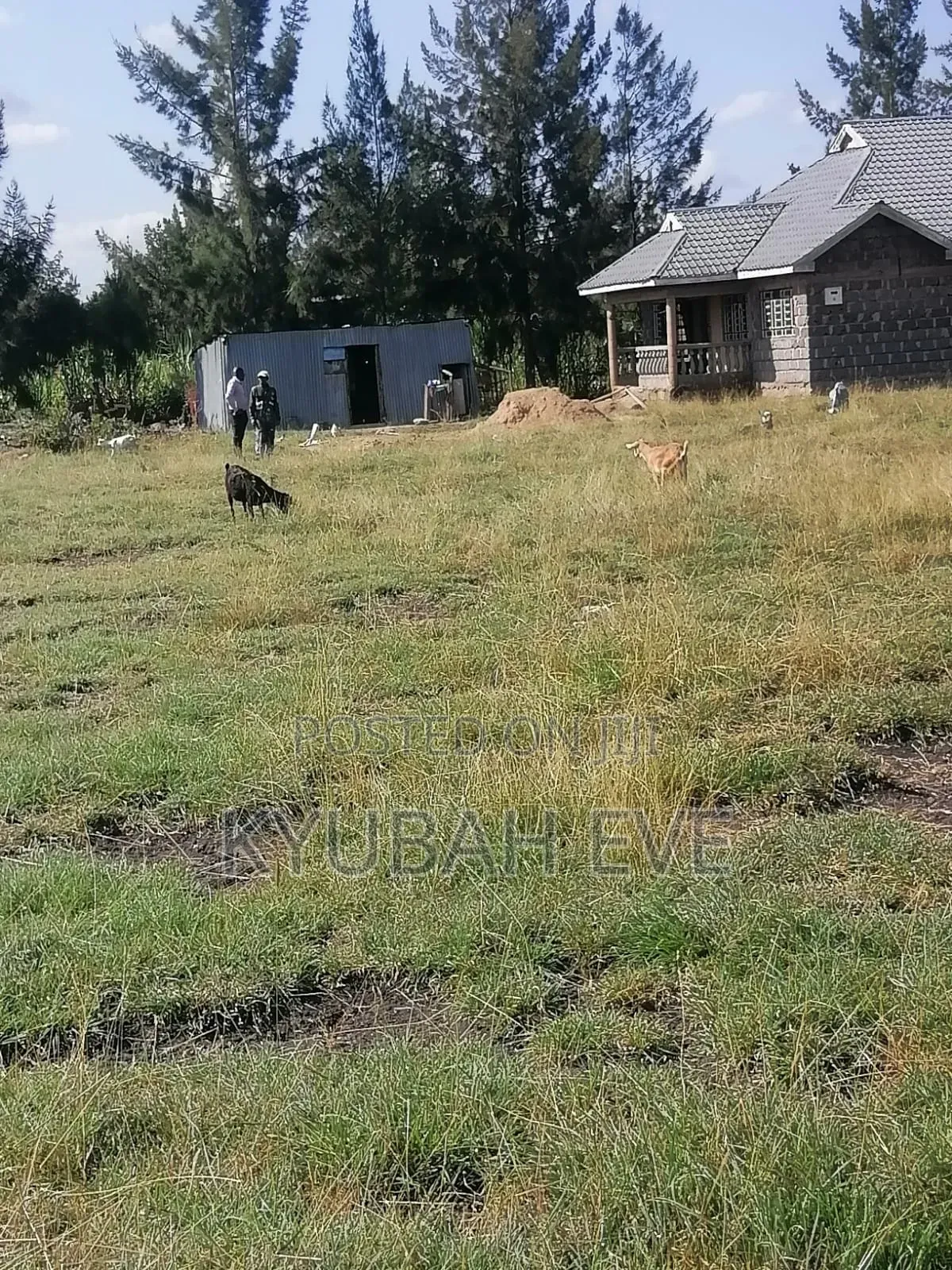 Koma Prime Residential Plots on Sale in Koma Hills Area