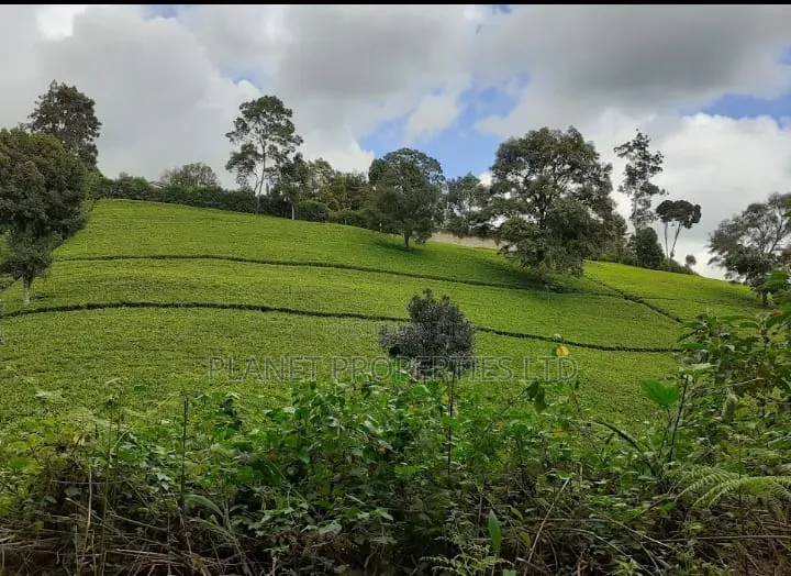 Limuru 64 Acre in Tigoni