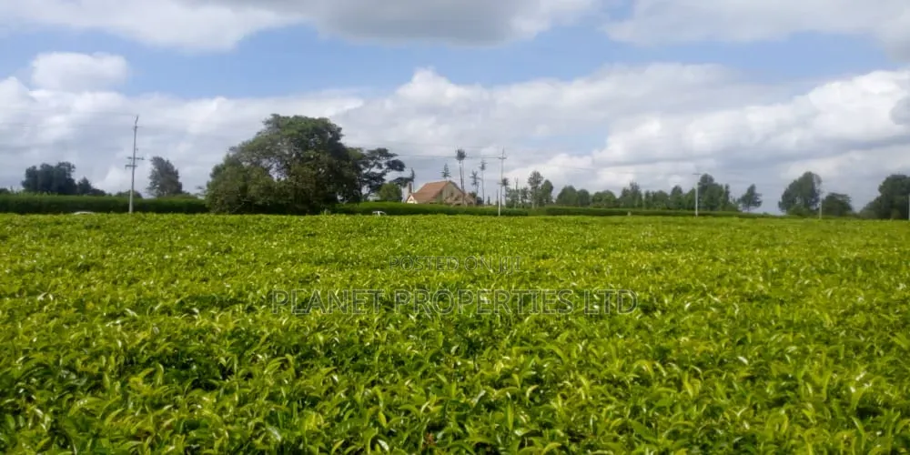 Limuru 64 Acre in Tigoni