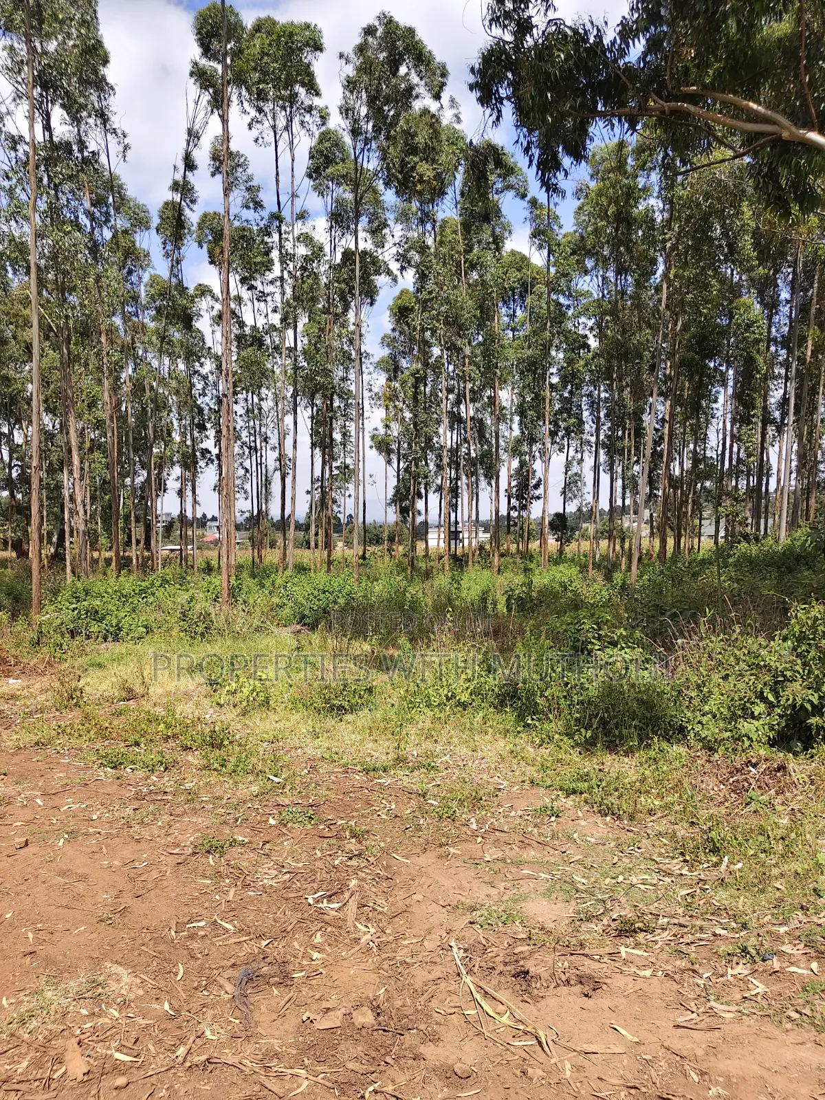 2 Acres Land for Sale in Kamangu in Karai