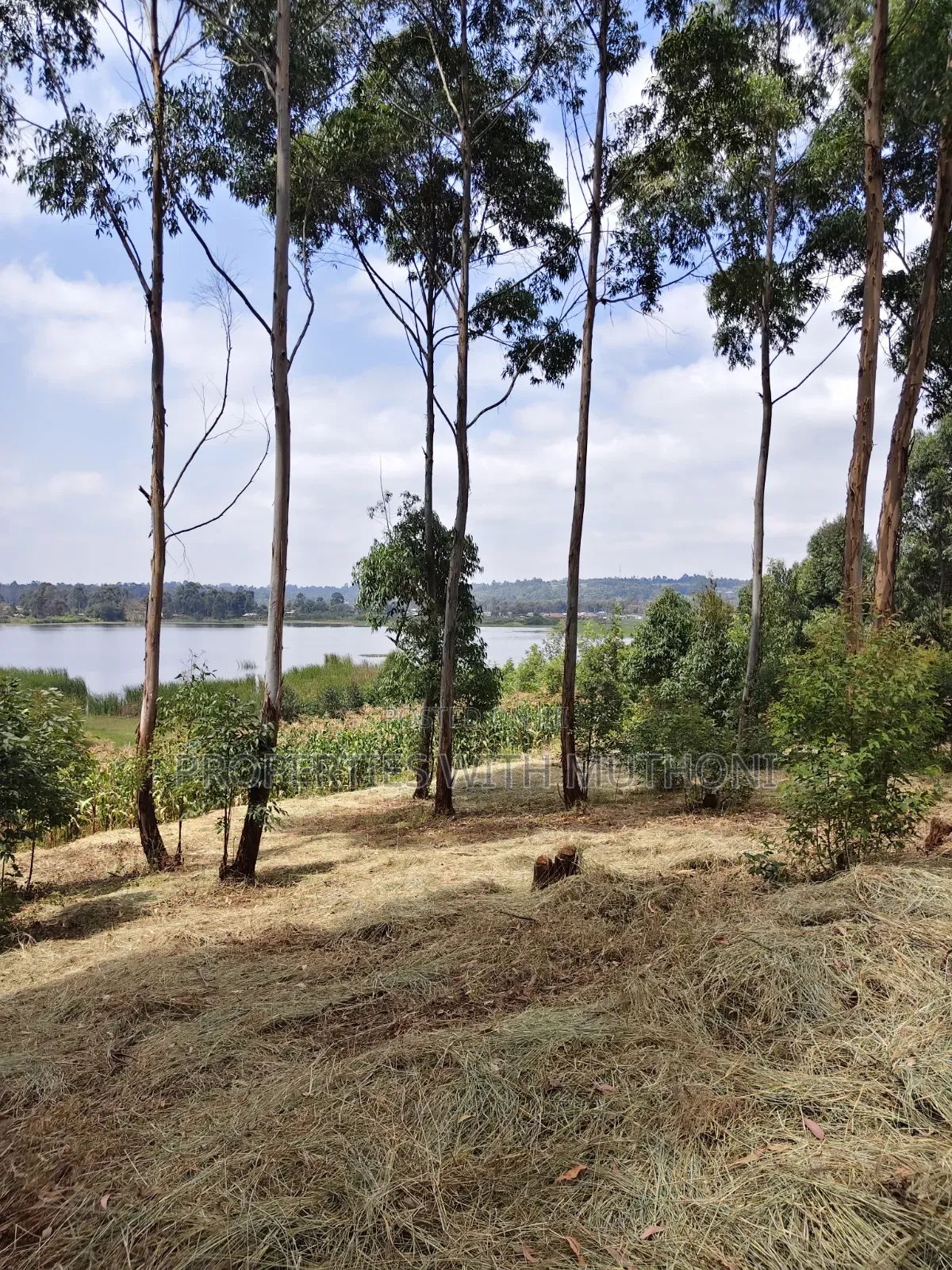 2 Acres Land for Sale in Kamangu in Karai